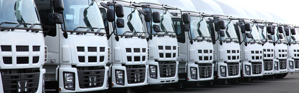 Line of white lorries leaving a factory